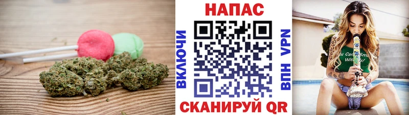 маркетплейс клад  Щёлкино  Canna-Cookies конопля  наркотики 