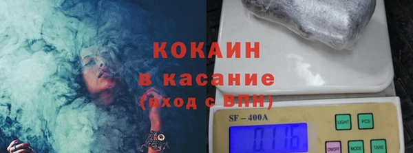 твердый Осинники