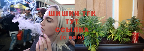 твердый Осинники