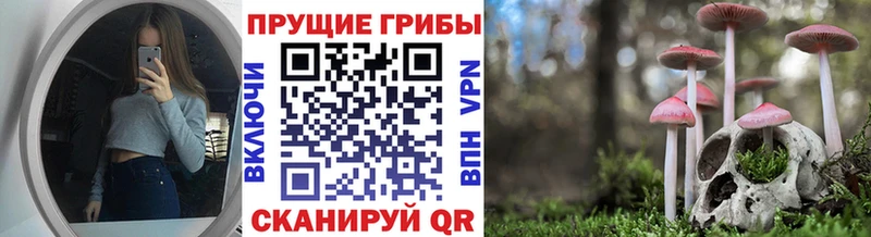 OMG зеркало Щёлкино Галлюциногенные грибы Magic Shrooms наркотики