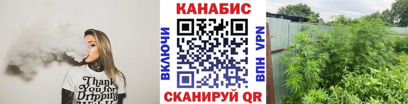 KRAKEN tor  Щёлкино  Шишки марихуана тримм 